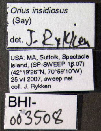 Media type: image;   Entomology 619162 Aspect: labels